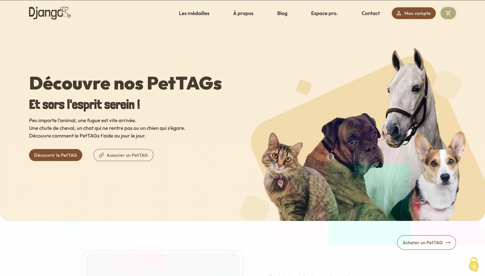 Capture d'écran du site Django